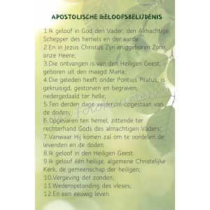 Bladwijzer - Geloofsbelijdenis