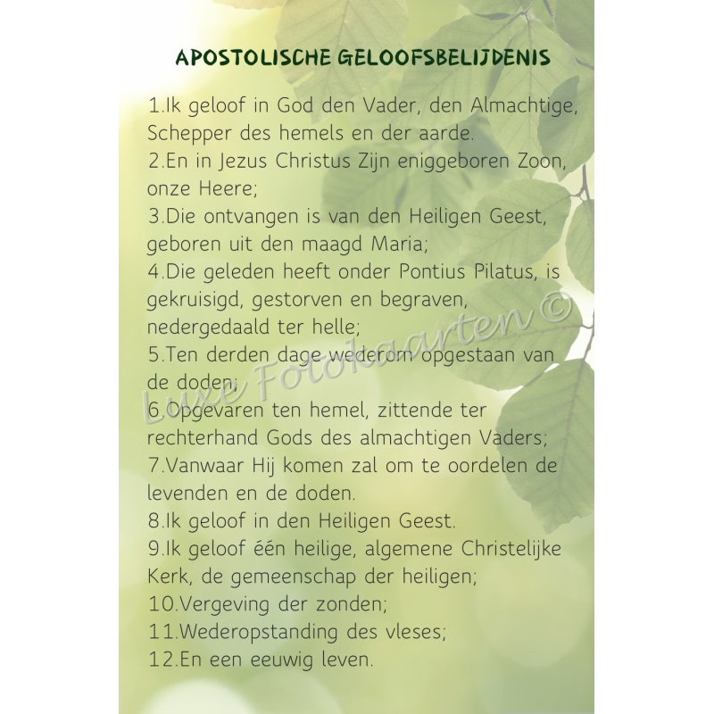 Bladwijzer - Geloofsbelijdenis