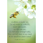 Bladwijzer - Psalm 75