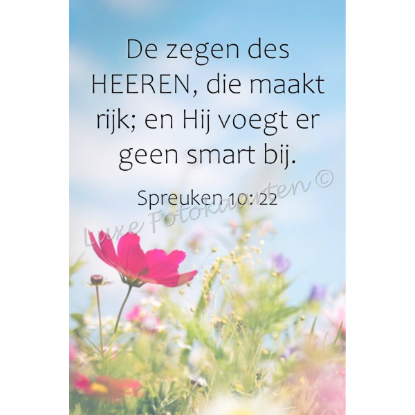 Bladwijzer - Spreuken