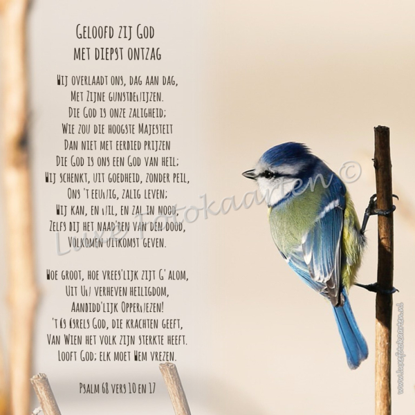 Blanco Bijbeltekst Psalm 68 Vers 10 En 17