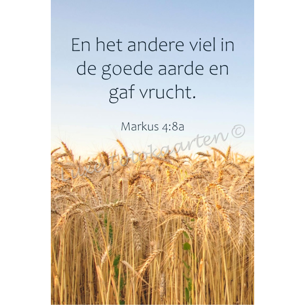 Bladwijzer - Vrucht dragen