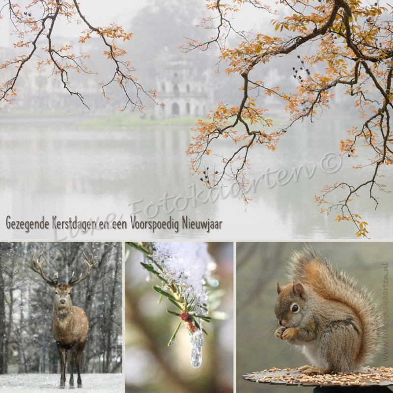 Gezegende Kerst - 4 luik Takken en eekhoorn
