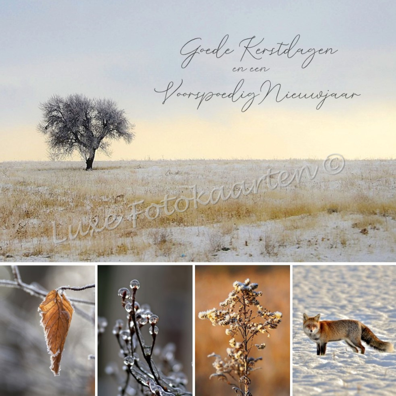 Goede Kerst - 5 luik vos in sneeuw