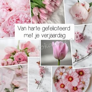 Gefeliciteerd Algemeen - rose bloemen