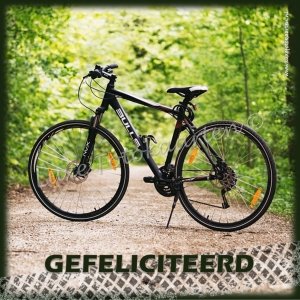 Gefeliciteerd Heren - Mountainbike