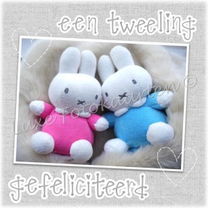 Geboorte Tweeling - zoon en dochter