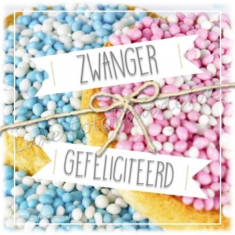 Zwanger - Muisjes