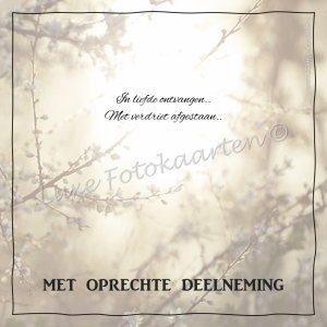 Oprechte Deelneming - in liefde ontvangen