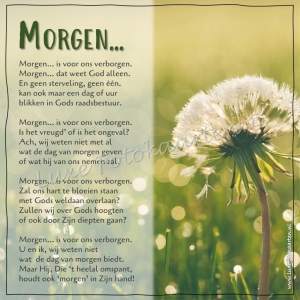 Gedichten - Morgen