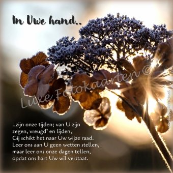 Gedichten - In Uwe hand
