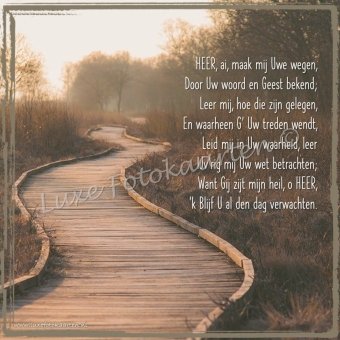 Gedichten - Psalm 25, Heer, ai maak mij Uwe wegen