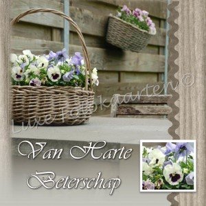Beterschap - manden