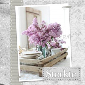 Sterkte - sering