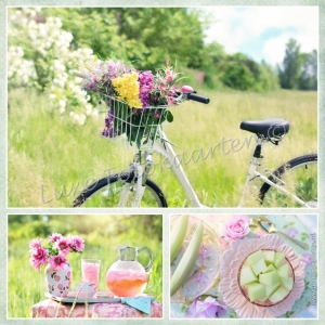 Blanco Algemeen - Fiets met bloemen