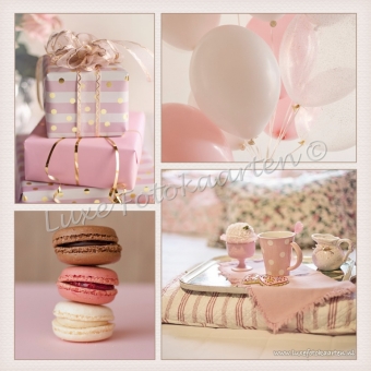 Blanco Kind - Roze 4 luik macarons