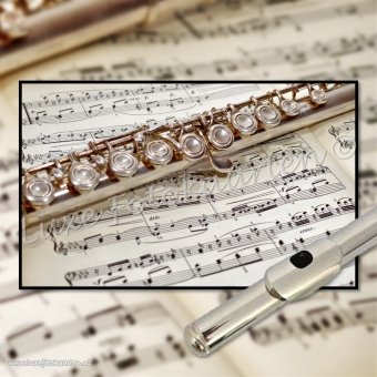 Blanco Muziek - dwarsfluit