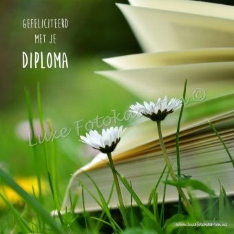 Geslaagd - diploma margrieten