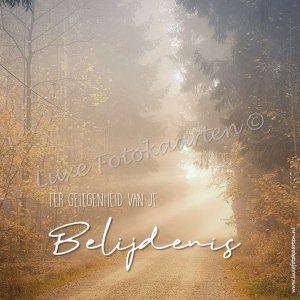 Belijdenis - Zonnestralen