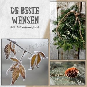 Blanco Kerst - De beste wensen