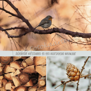 Gezegende Kerst - 3 luik roodborstje dennenappel hout