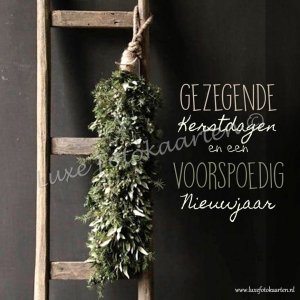 Gezegende Kerst - Ladder