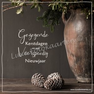 Gezegende Kerst - Bruine pot met dennenappels