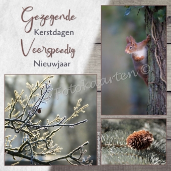Gezegende Kerst - Eekhoorn 3 luik