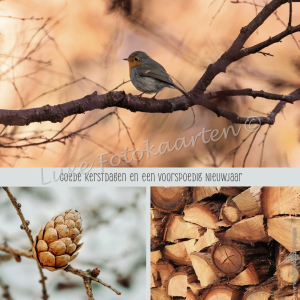 Goede Kerst - 3 luik roodborstje dennenappel hout