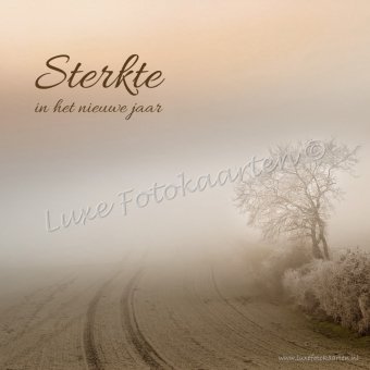 Sterkte nieuwe jaar - Mist